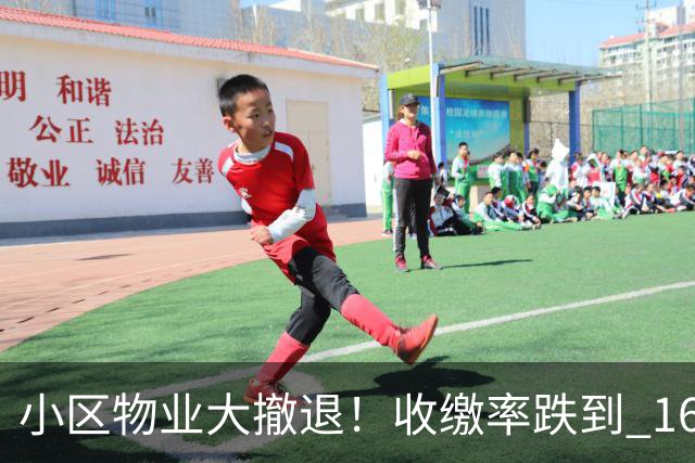 小区物业大撤退！收缴率跌到 16%，售价数百万住宅恐变贫民窟