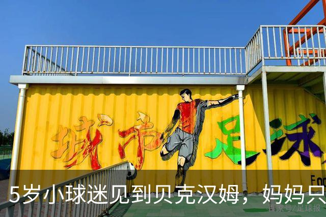 5岁小球迷见到贝克汉姆，妈妈只写下四个字：我无语了